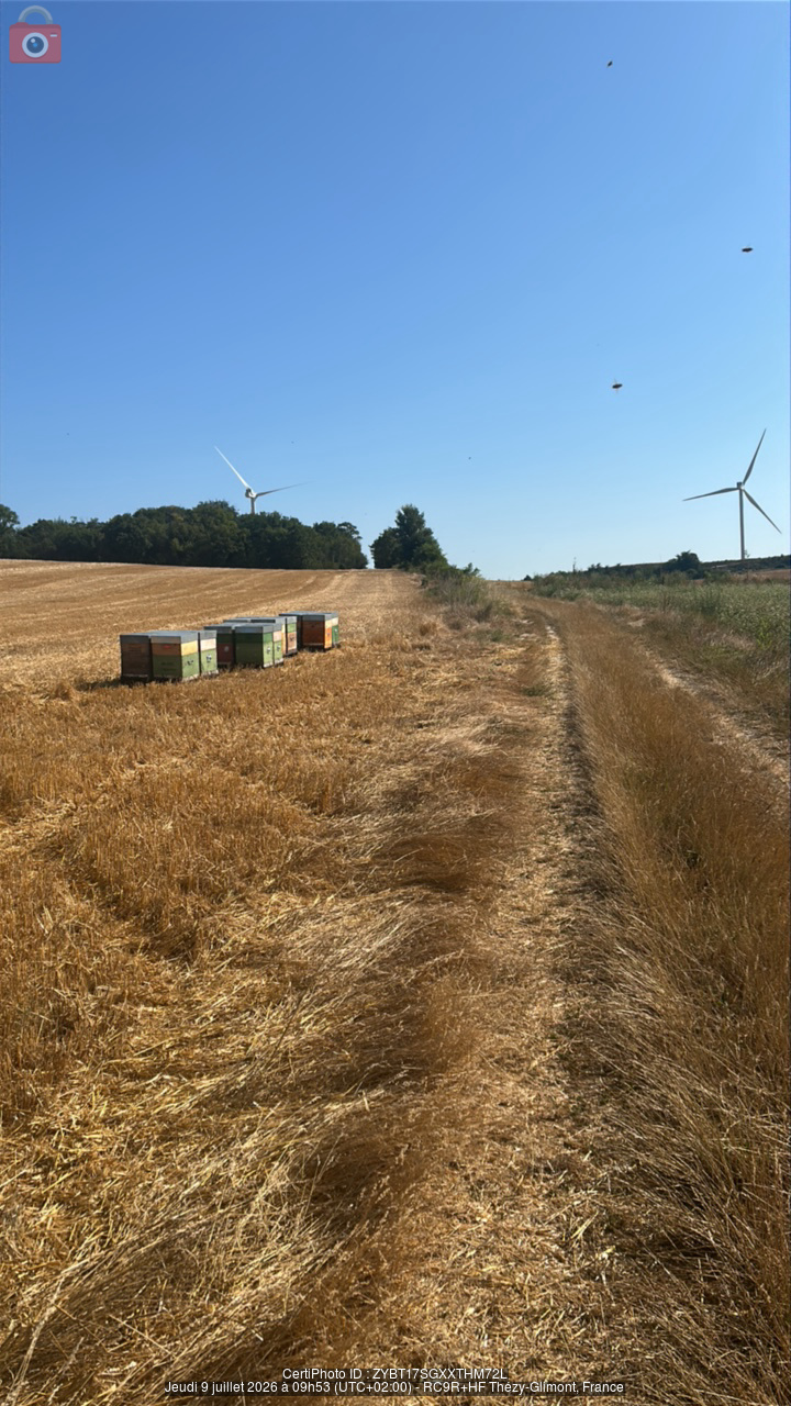 Rucher installé au bord du chemin du Buquet Midi